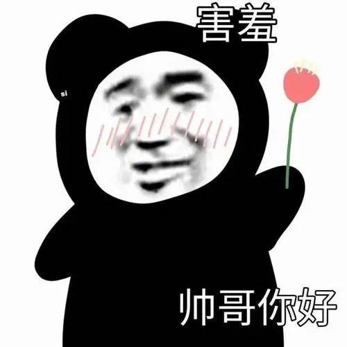 爱情熊猫头表情包图片