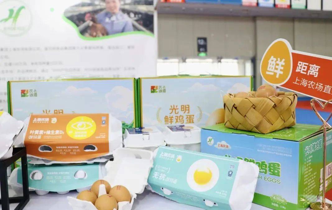 赛车美食光明好市来光明美食嘉年华感受速度与味蕾的双重盛宴