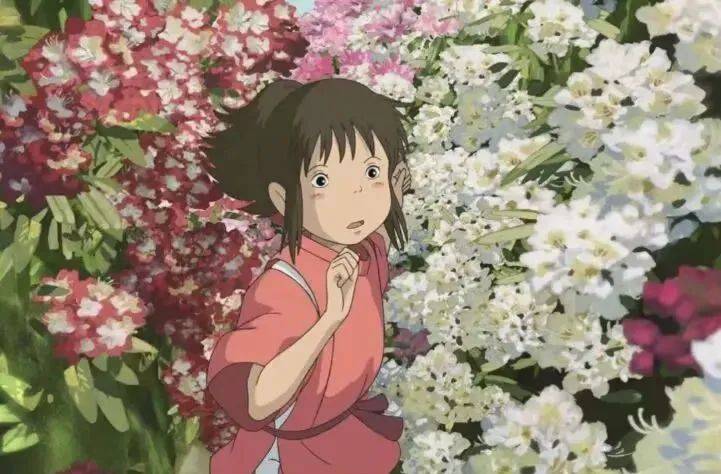 高山杜鹃杜鹃花科杜鹃花属常绿小灌木.