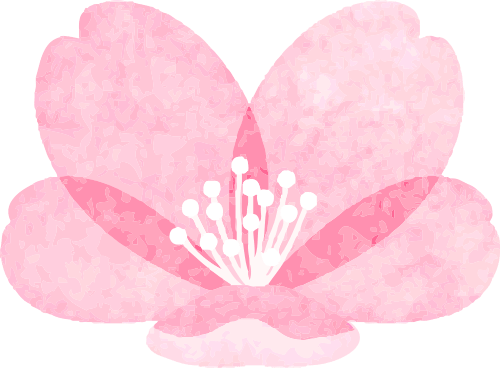 淮工一隅时光探幽