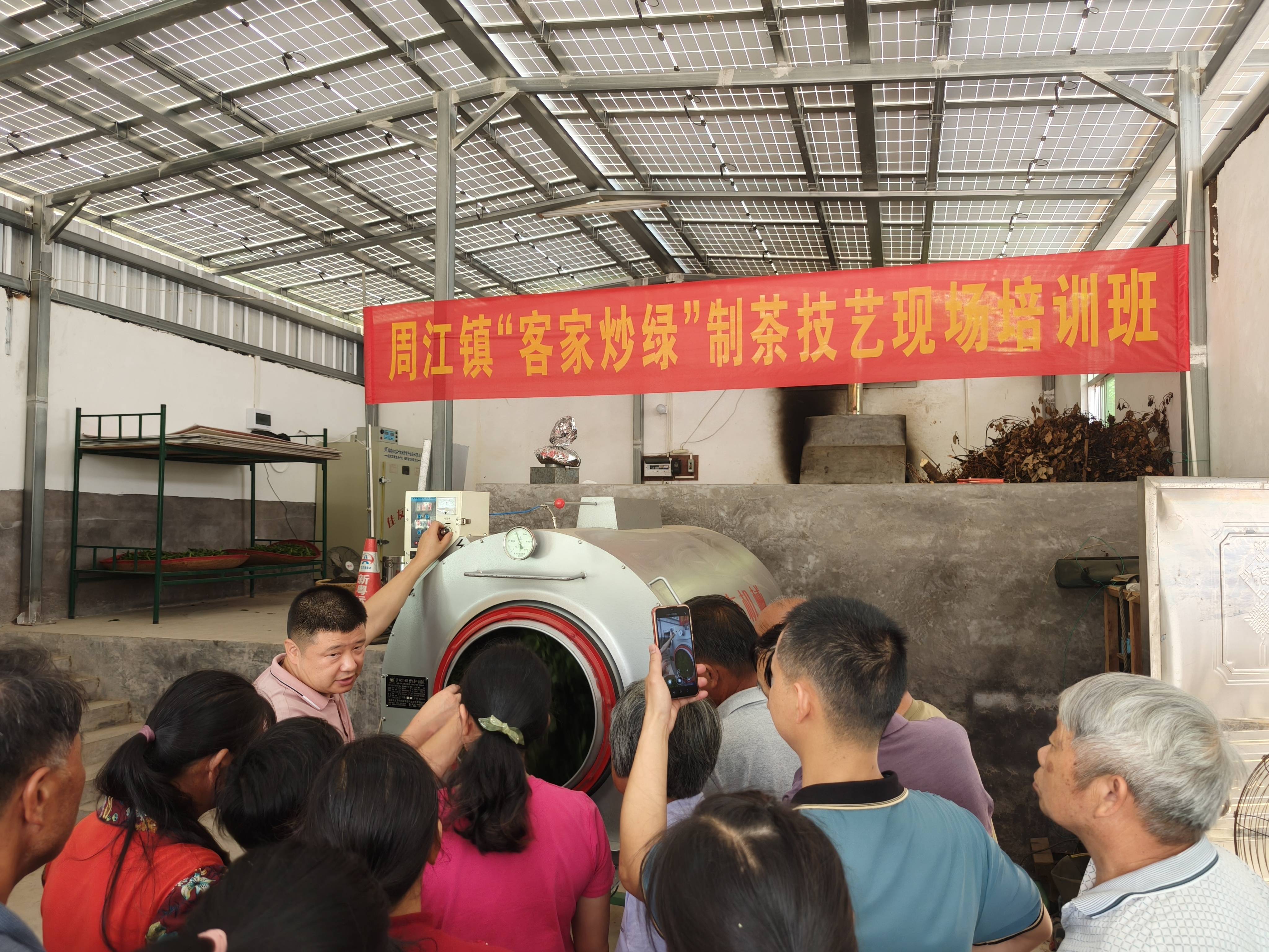 梅州市乡村振兴驻周江镇工作队邀请制茶大师现场传真经助力百千万工程