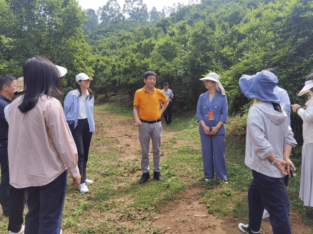 发展,助推乡村振兴"为题,先后前往博罗县福田镇丰基油茶科技有限公司