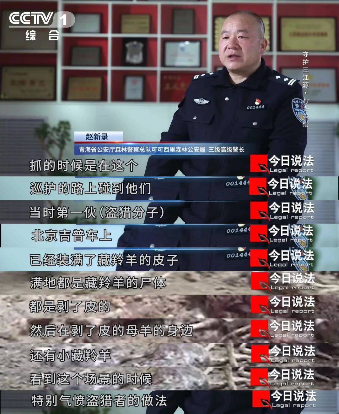 守护三江源从盗猎猖獗到10多年未响起盗猎者枪声森