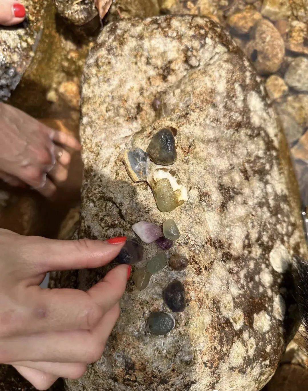 426428莫干山旅修放空自己亦可亲子一起做世界公民