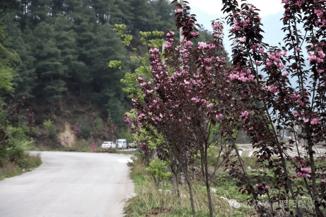 昭阳区盘河镇图片