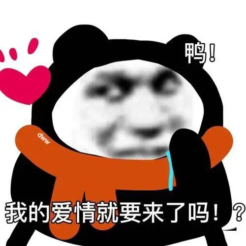 熊猫搂着人的表情包图片