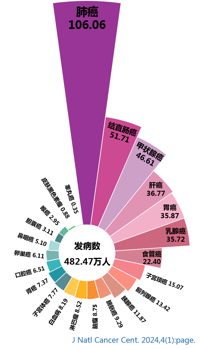 全国疫情扇形统计图图片