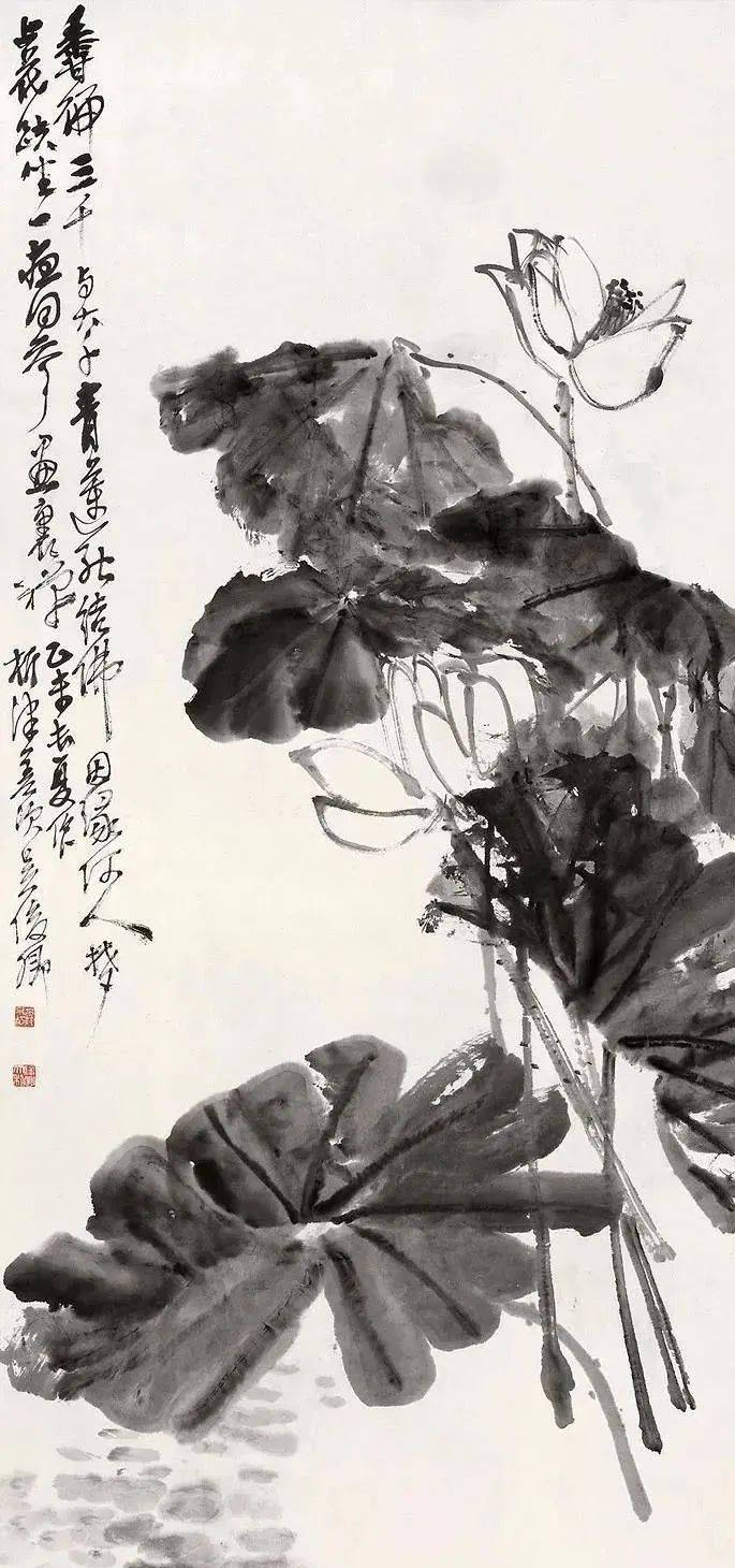 吴昌硕画荷花作品大全图片