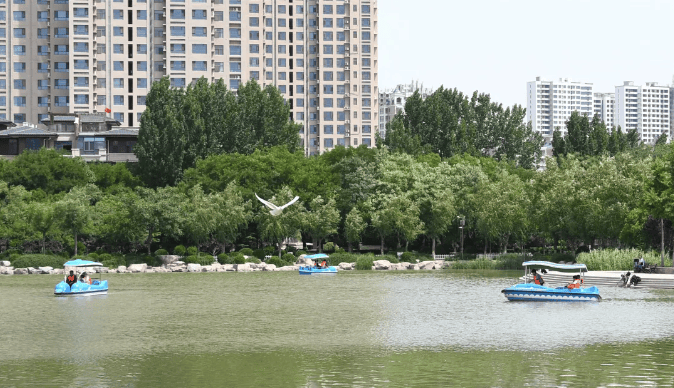 看看景,来一场漫无目的的公园版city work吧~不负春光禹都公园春日