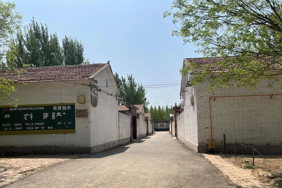 【"双争"进行时】观摩找差距 整治再发力‖千童镇开展人居环境整治