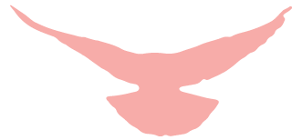 维护国家安全,你我有责丨4·15全民国家安全教育日系列活动(二)