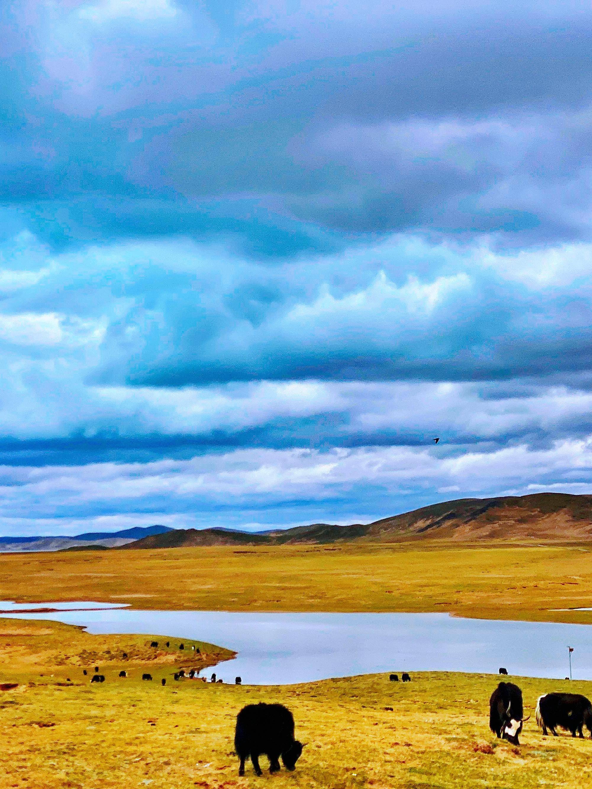 卡日曲是黄河正源的依据来源于1978年的科学考察活动,按照河源唯远