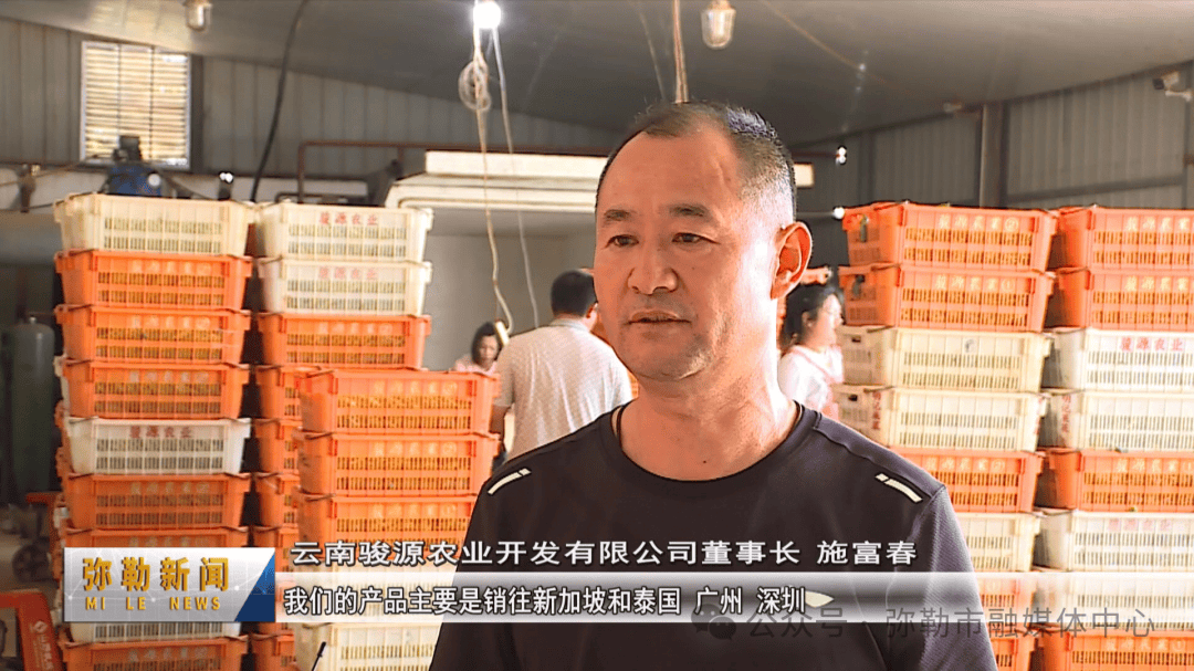弥勒市竹园镇:抓好"菜篮子" 鼓起"钱袋子"