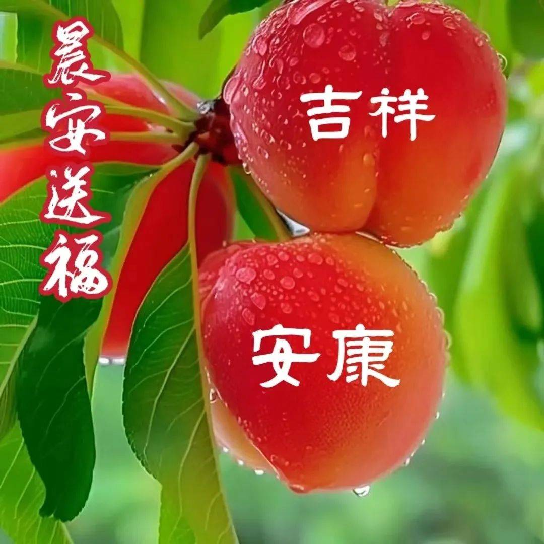 今日最新早上好图片大全,淡然一笑別昨天,美好心情迎今天