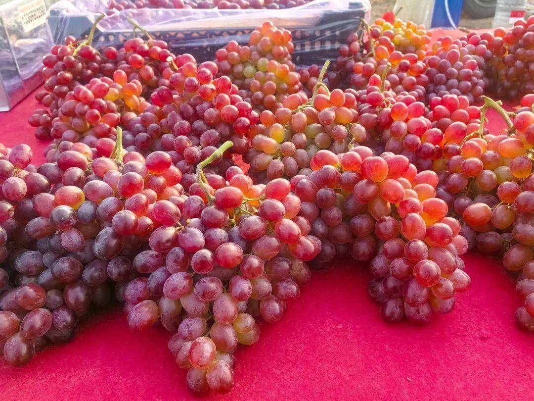 大集里最不缺的就是新鲜蔬菜水果,好多摊主都是周边村民,卖的菜也都是