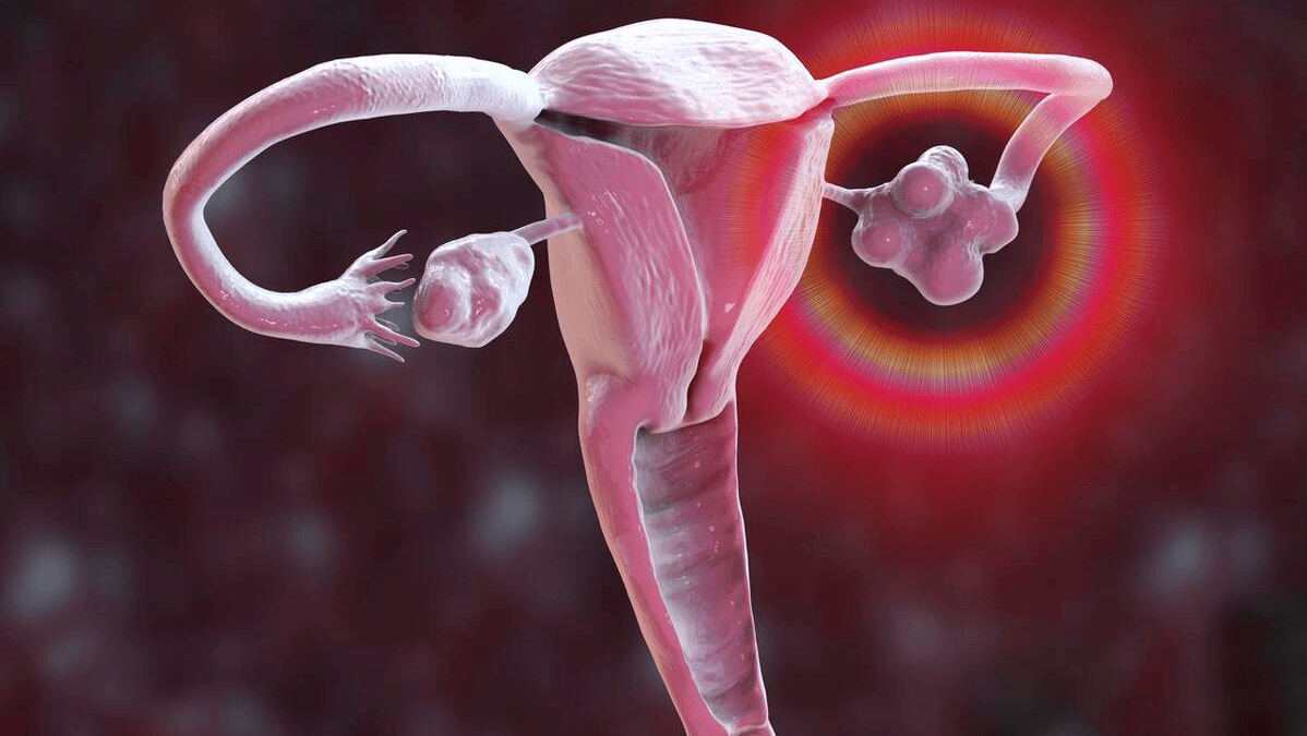 月经_子宫_小雨