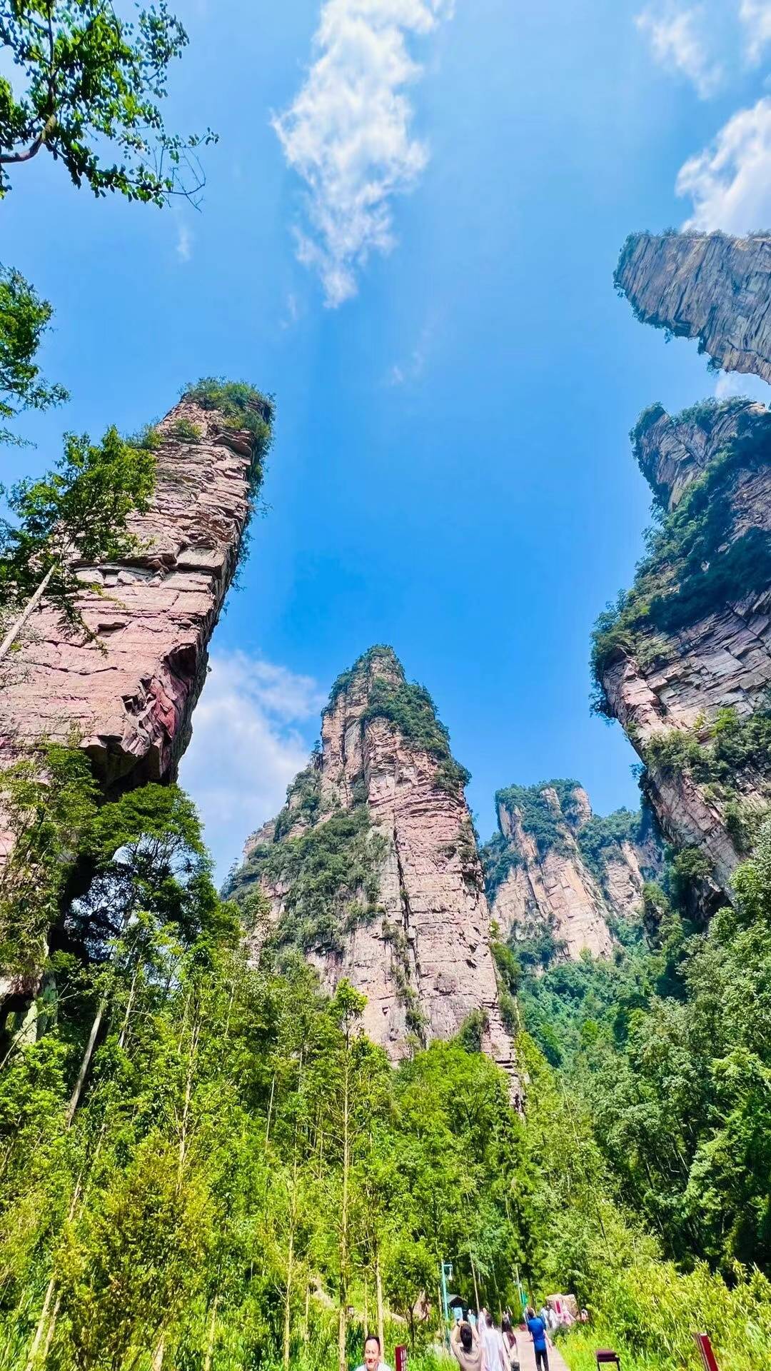 湖南张家界旅游景点天门山 ,路线 费用 亲身经历!