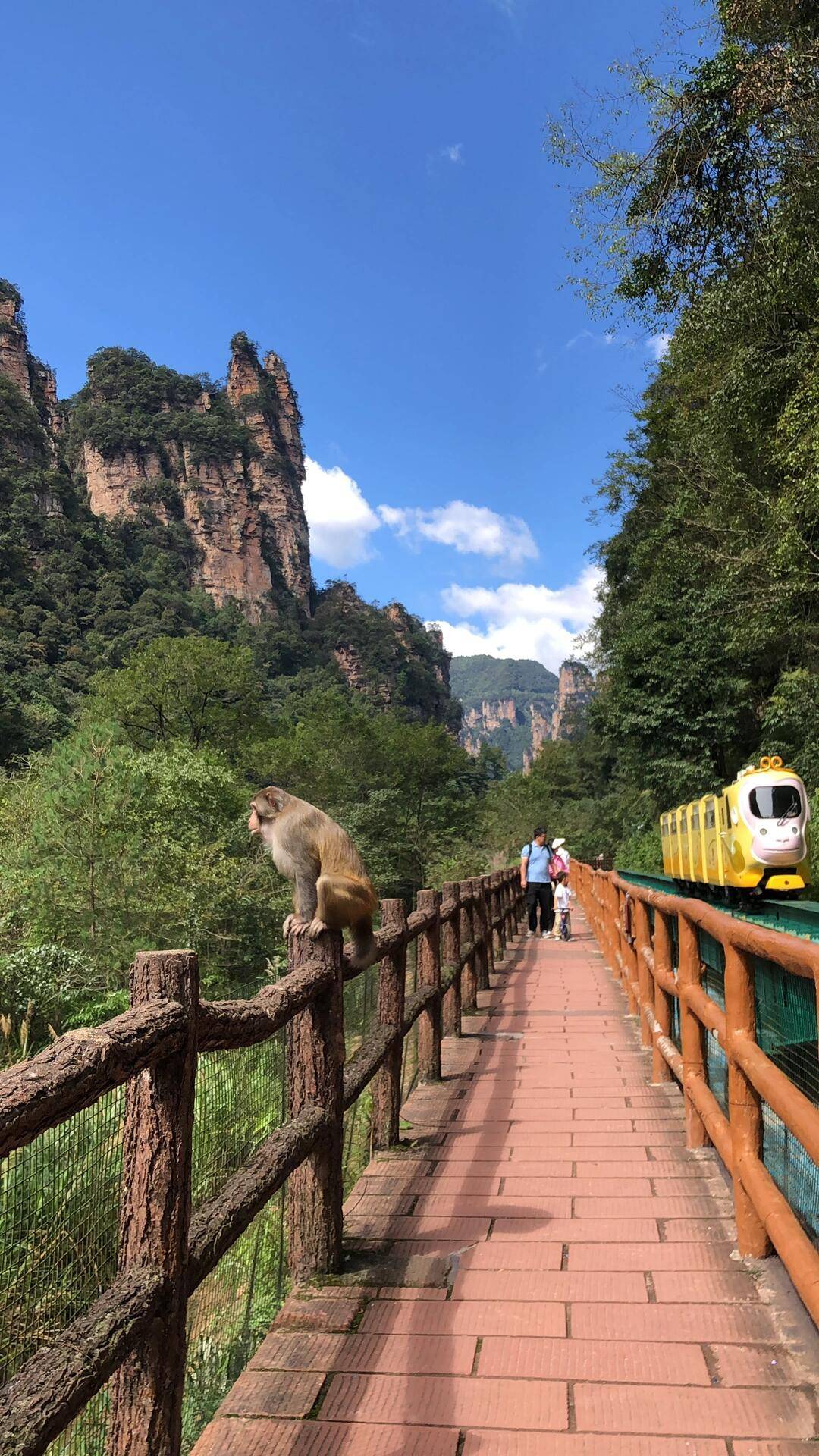 张家界天门山a线旅游要多久 ,最全攻略来了,为你省事,省钱!