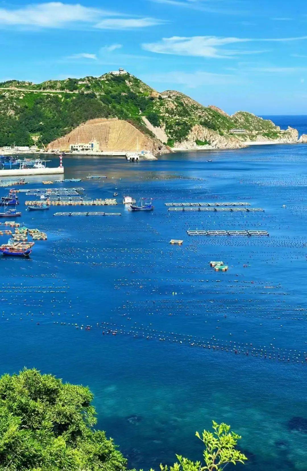 山岛电动车电池图片