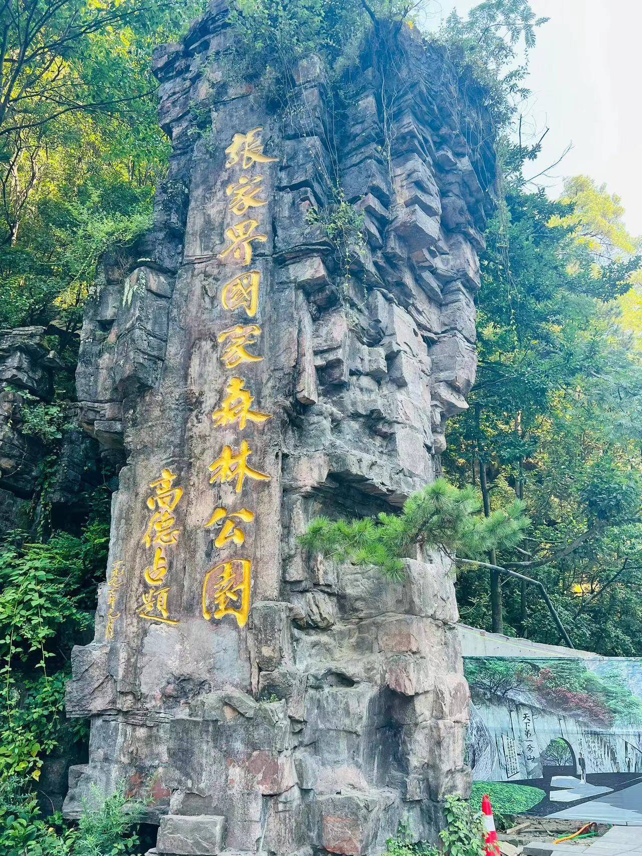 武汉到张家界旅游攻略自由行三天 ,刷到这篇就够了!避雷攻略