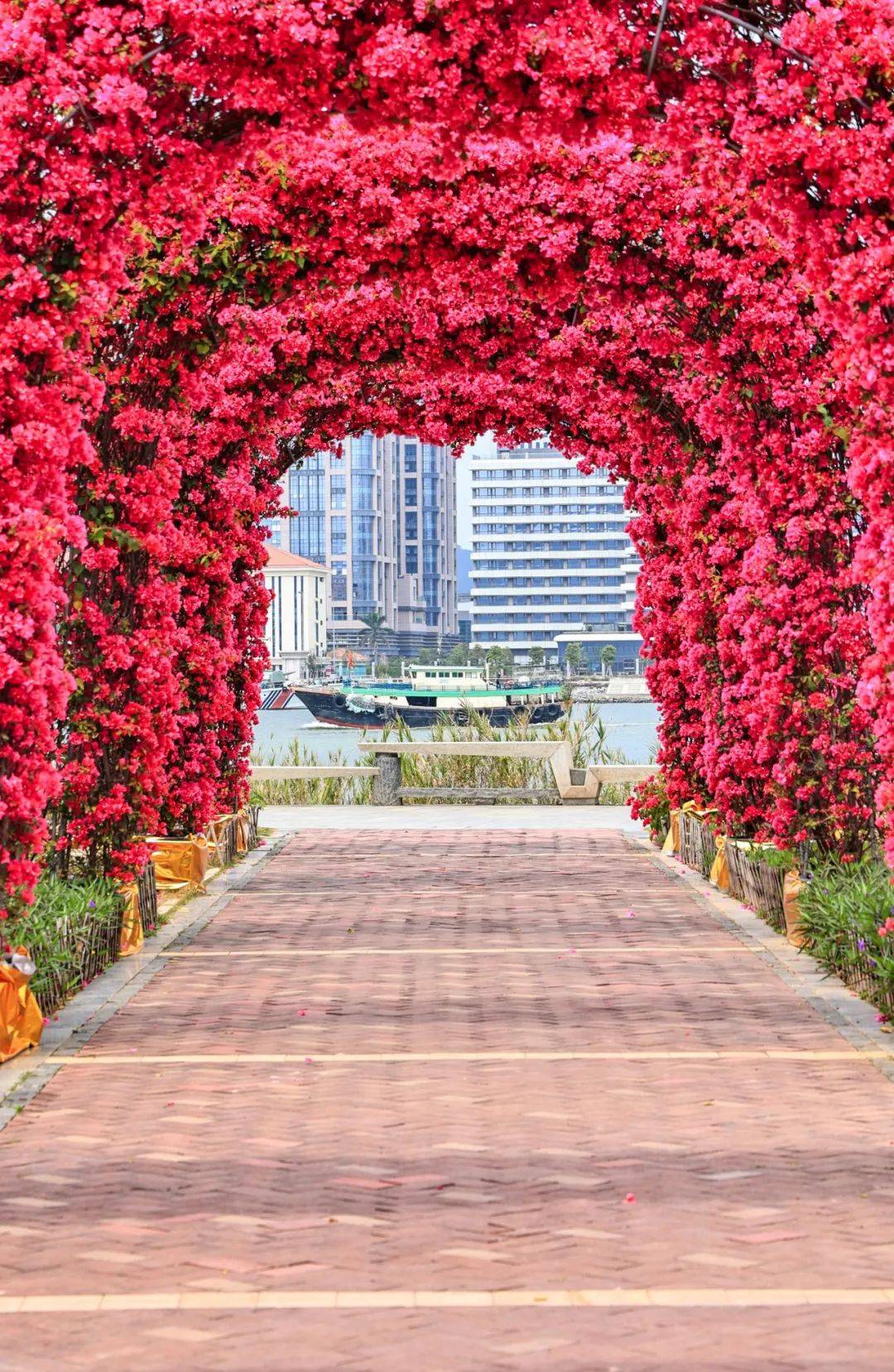 天津花海长廊图片