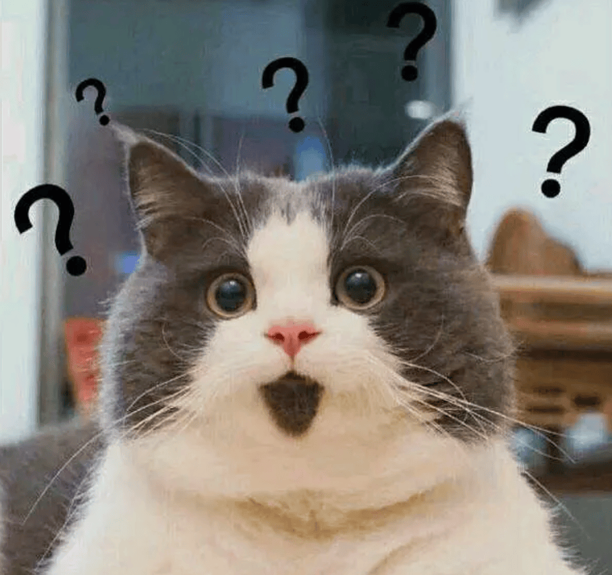 多少中国女孩毁在彩礼上