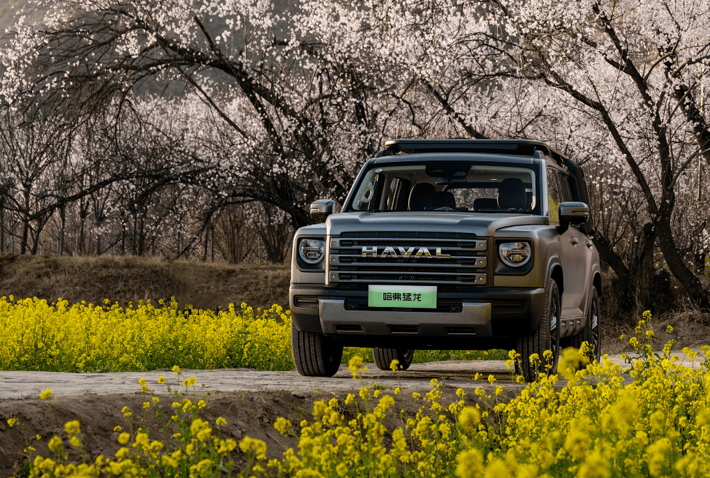 标配255/60 r19规格轮胎,还可选装265/60 r18规格轮胎.