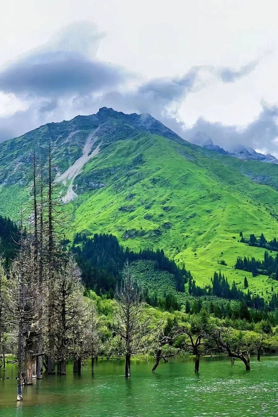 四川德阳峨眉山旅游景区 ,详细攻略,一定记得收藏!