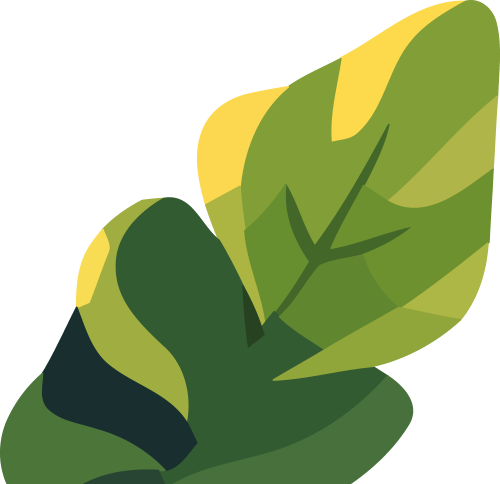 创新设立"碳汇林" 加快打造生态修复"莆田样板"