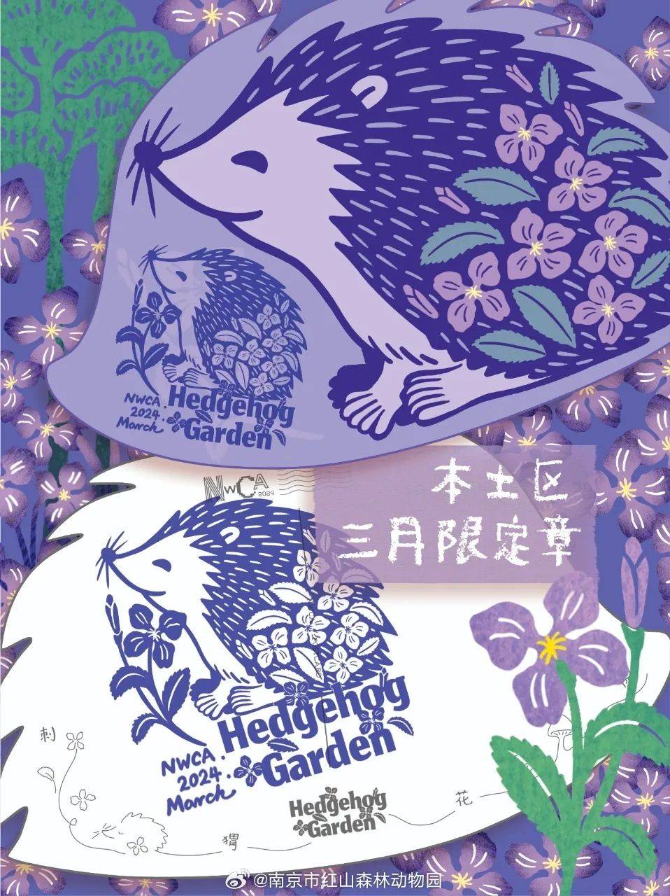 一年上30次热搜,南京红山动物园凭什么?