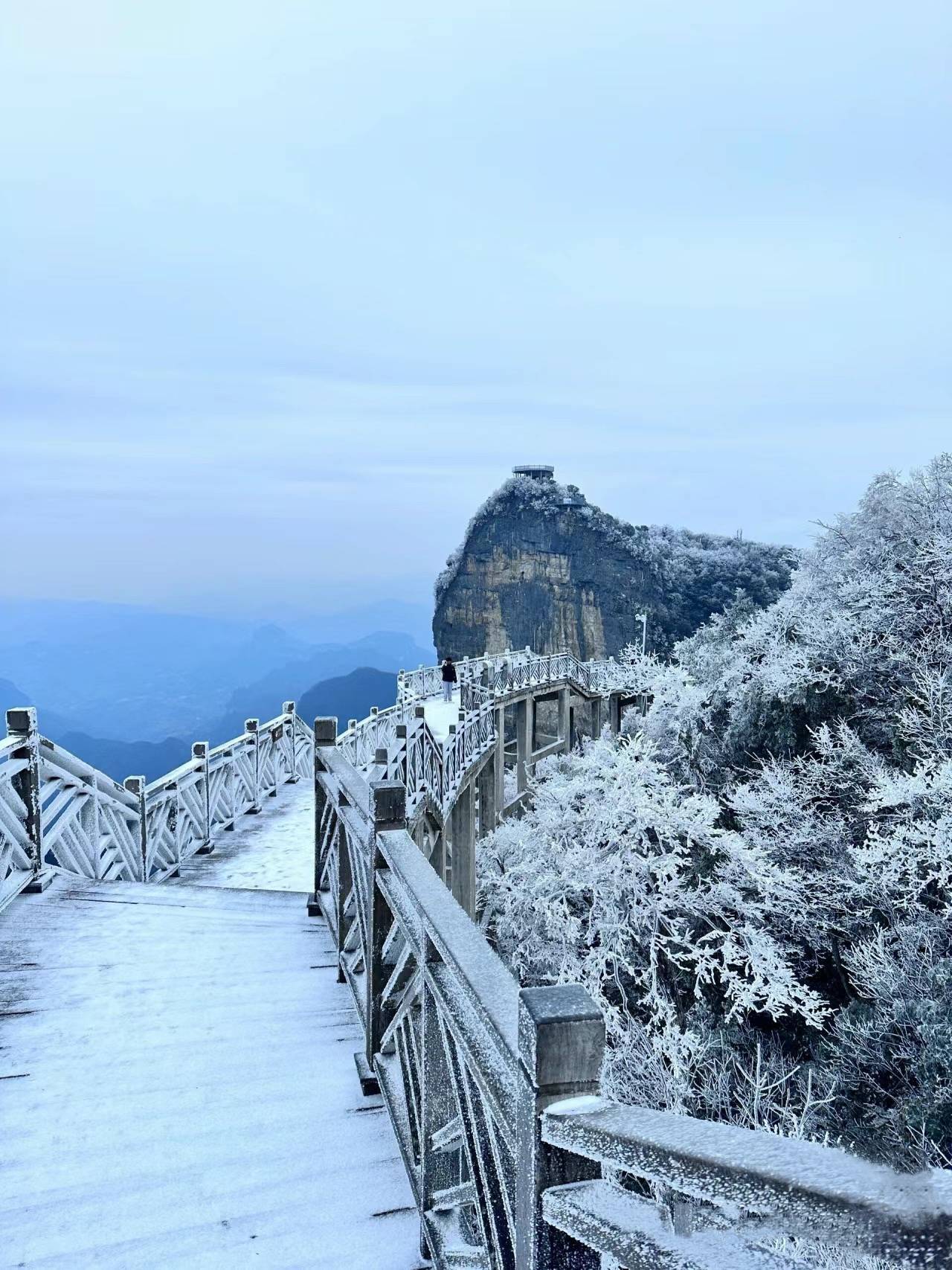 首推天门山,这里是张家界的核心景区之一,以其独特的索道和惊险的玻璃