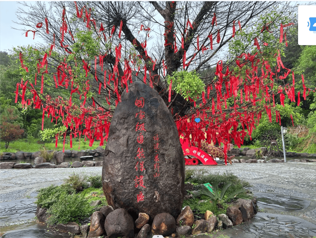 梁野山简介图片