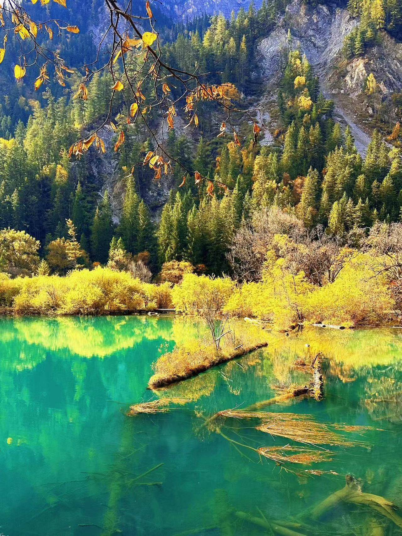 牡丹江到成都旅游团 ,来到这座城市一定要这样玩!