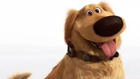 电影《飞屋环游记》