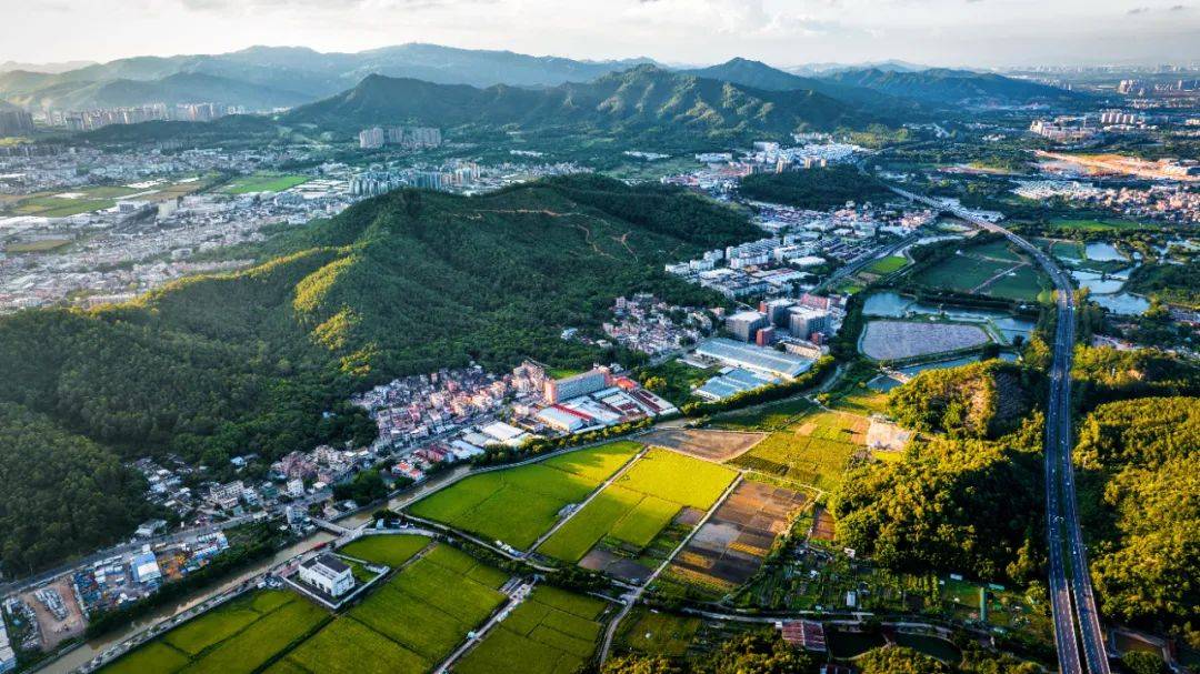 广东省首批乡村振兴示范镇中山市三乡镇示范村创建名单的通知》《关于