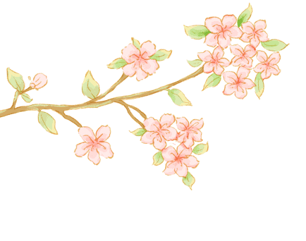 第五届北京国际花园节开幕！世园精彩抢“鲜”看——