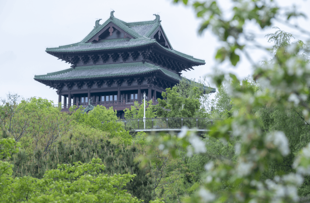 第五届北京国际花园节开幕！世园精彩抢“鲜”看——