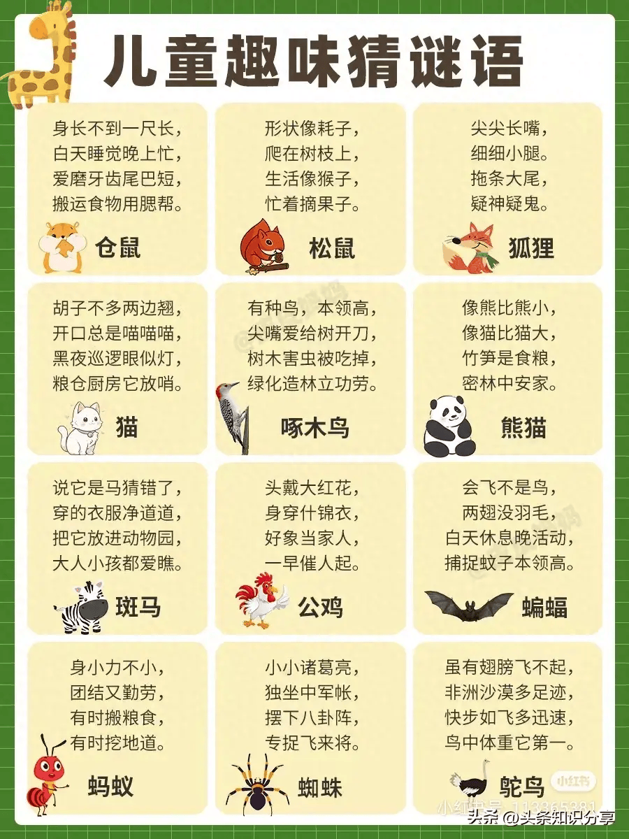 儿童趣味猜谜语:动物篇,和孩子一起猜一猜