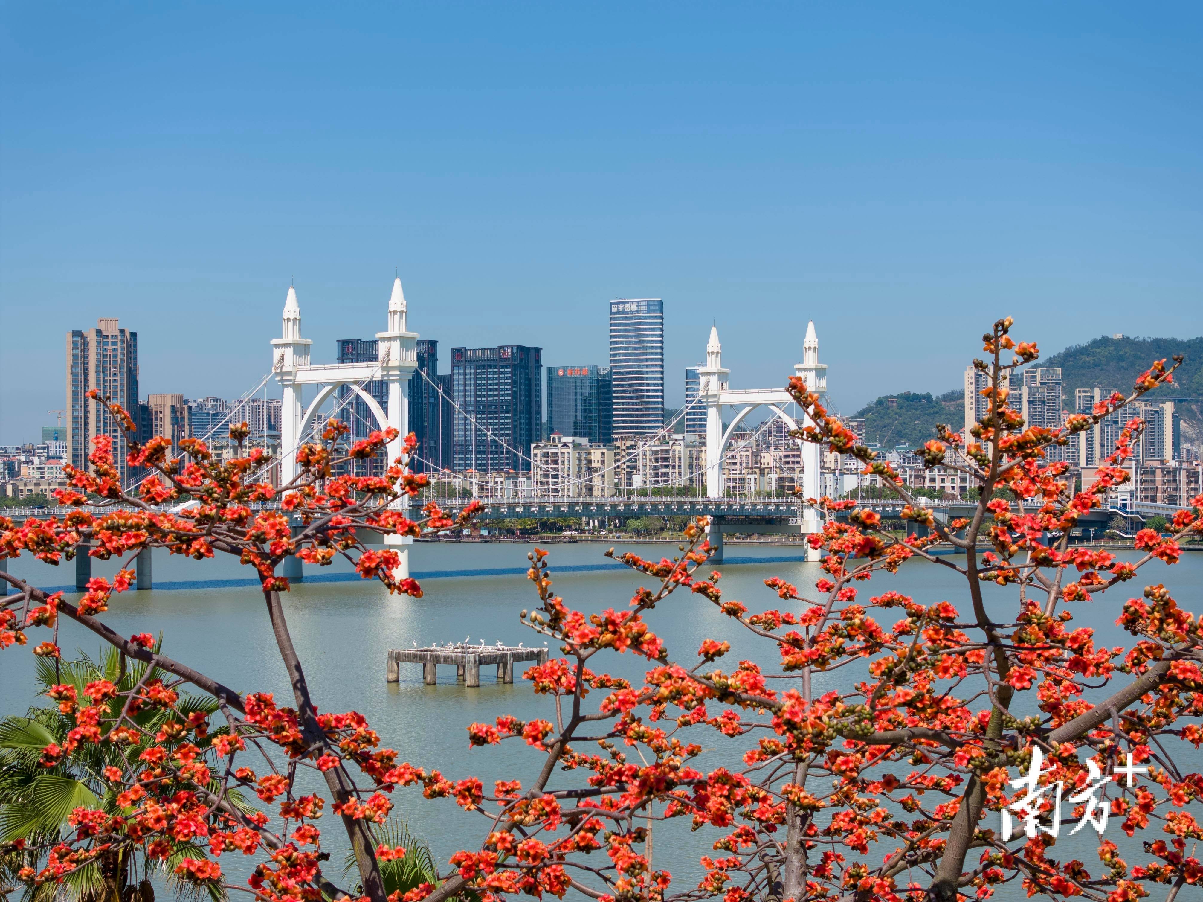 珠海南屏 来自搜狐网