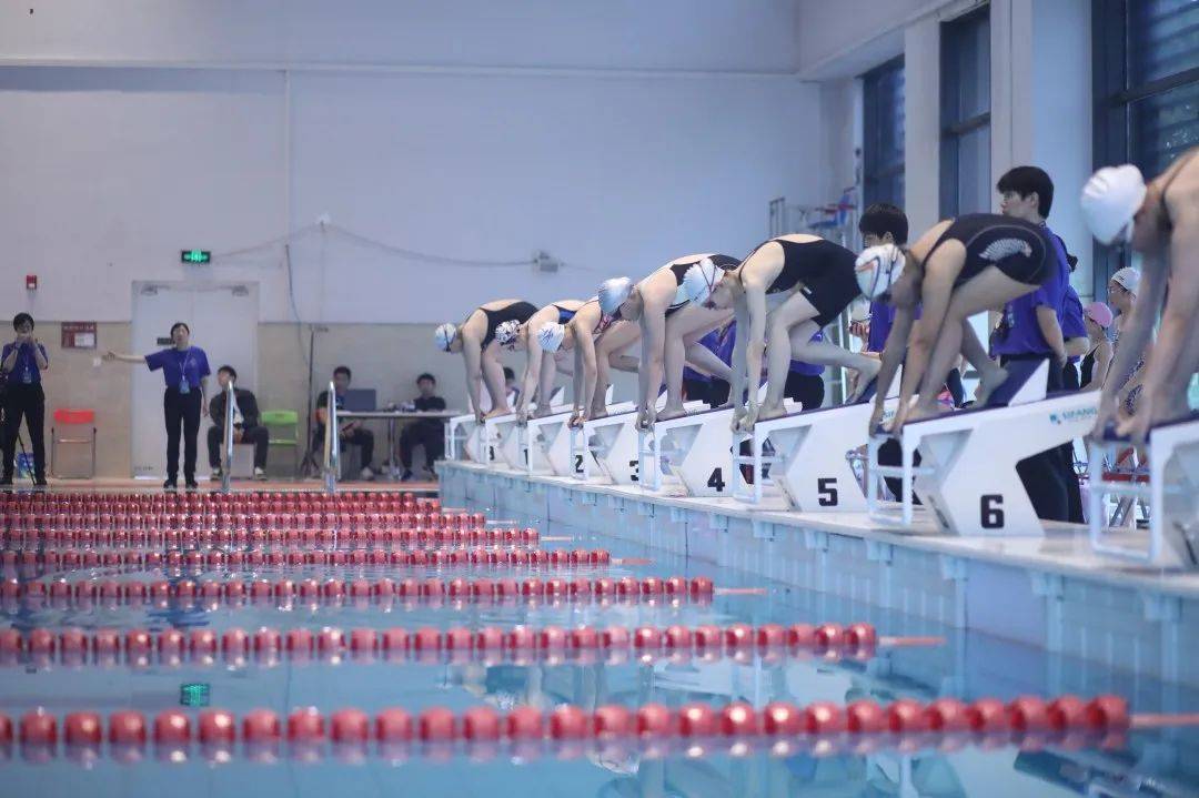 "梦想杯"游泳接力比赛在上海科技大学活力开赛!