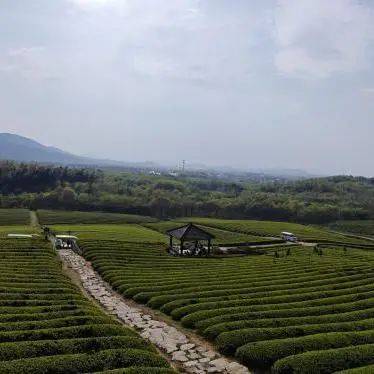 到"蓬"友多的田园过"五一"——最"悠"乡野露营地推荐_