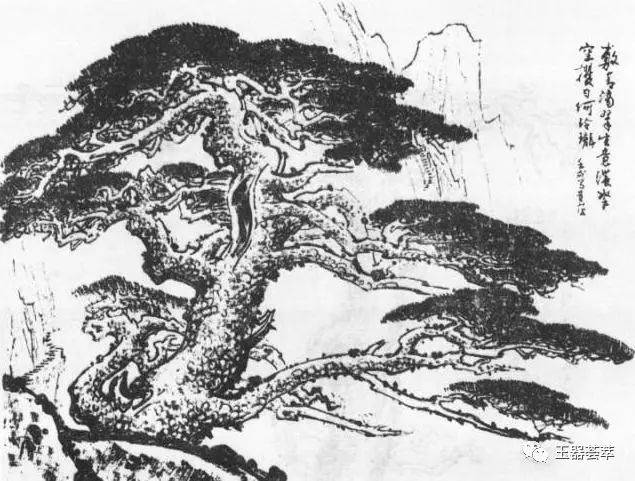 “百树之王”松树的画法详解_枝干_松根_水墨画