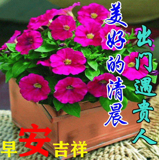 2024今日新版非常好看的早安图片大全,轻轻的问候,深深的祝福