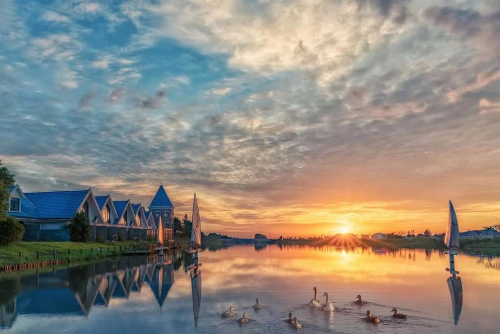 漕泾郊野公园重要配套设施"在水一方"开业 时令河鲜美味诚邀八方宾客