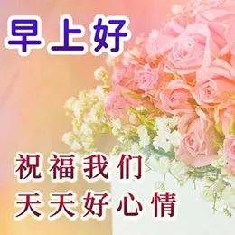 早上好祝福动态表情图片,唯美微信早安问候语大全