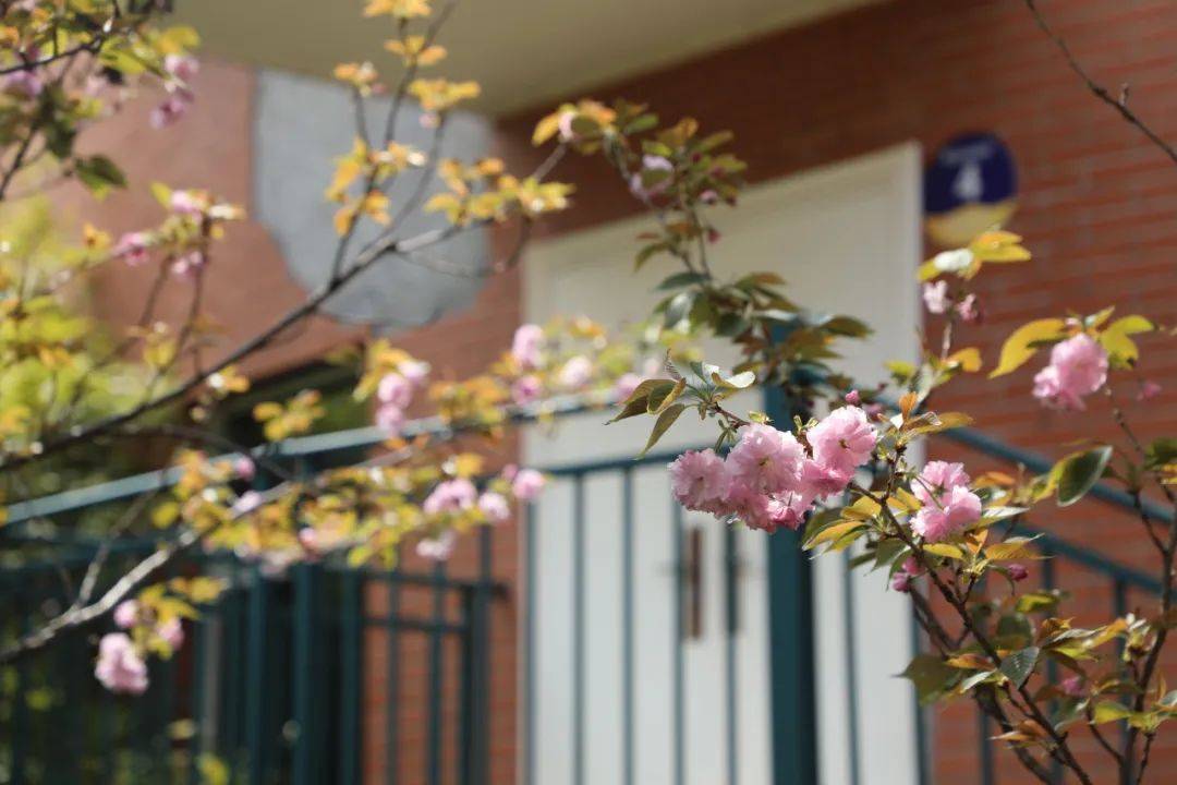 望城校园“校花”大赏！你PICK哪一个？-长沙励烽教育集团望城新校区地址