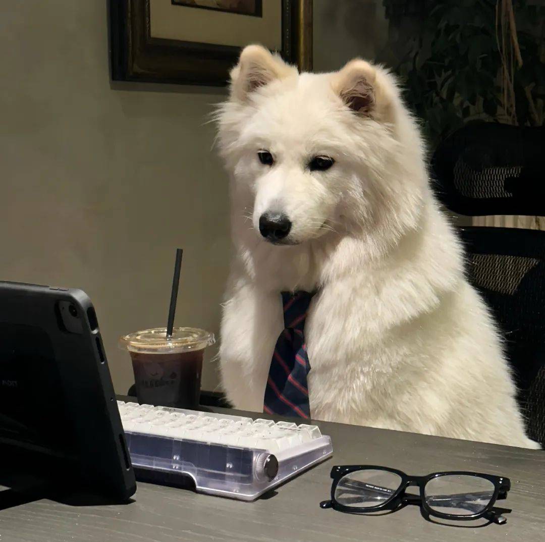 壁纸 动物 狗 狗狗 1080_1074