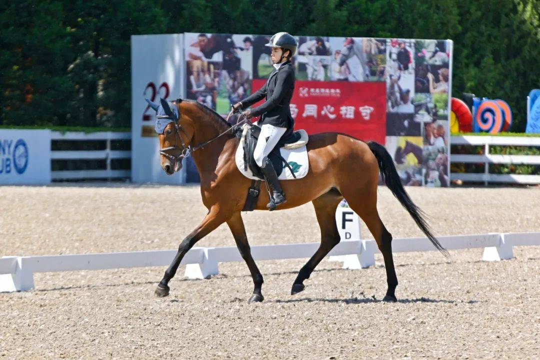 图集 | 2024北京舞者马术盛装舞步俱乐部联赛第2站圆满落幕!