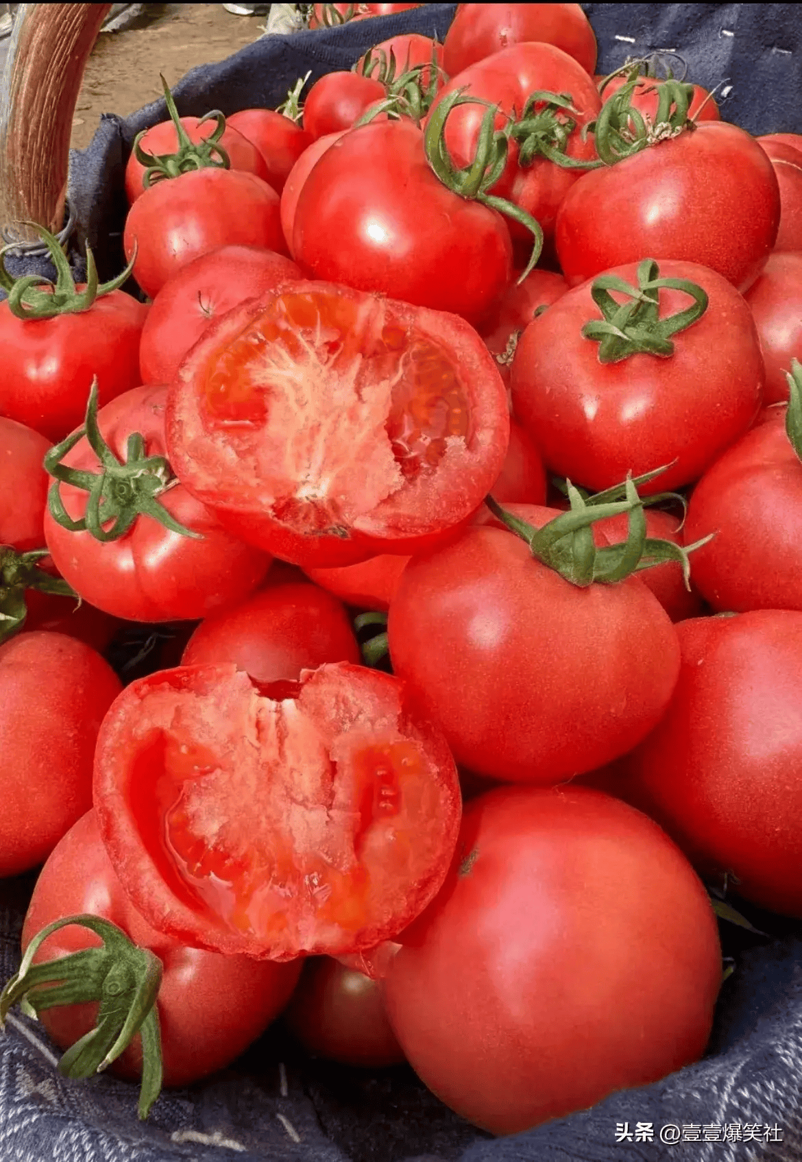 西红柿的营养成分有哪些呢?不知道的收藏起来看看