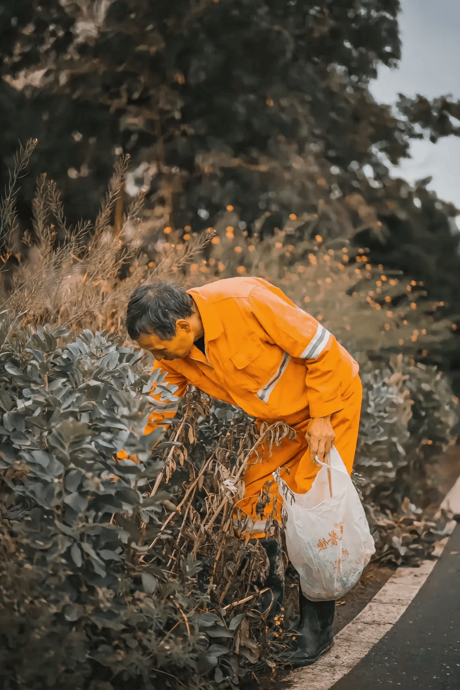 最美劳动瞬间照片图片